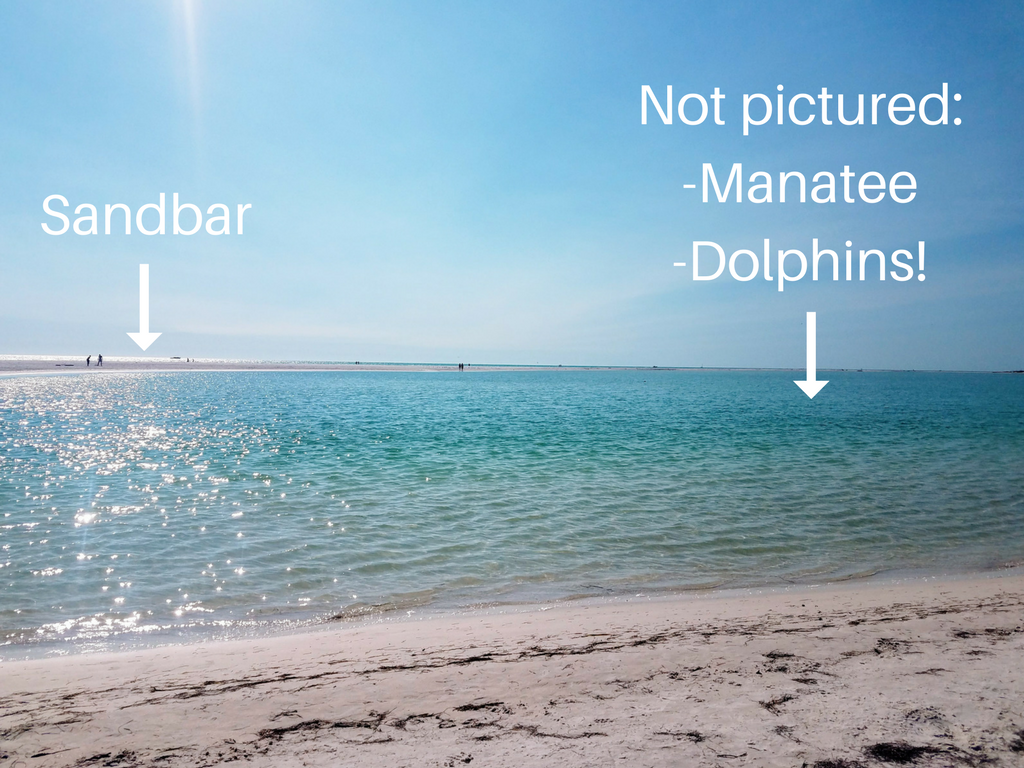 Fort de Soto sandbar