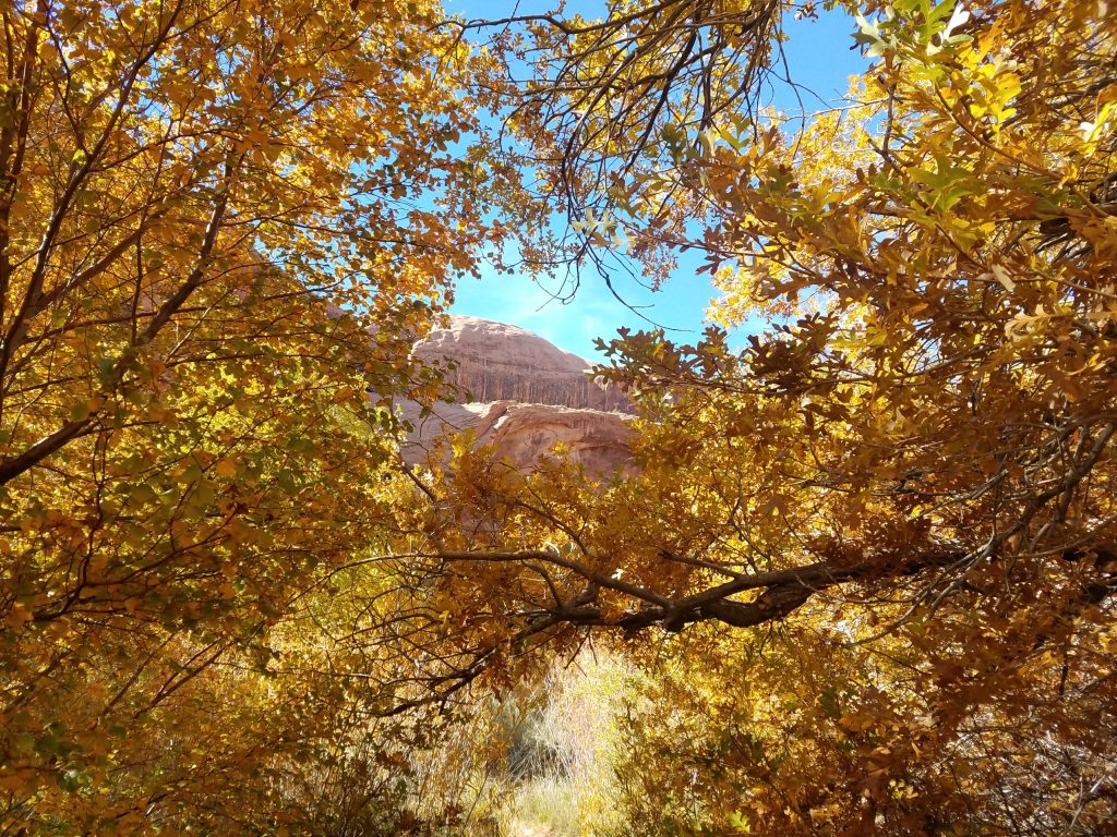 Moab Grandstaff Trail